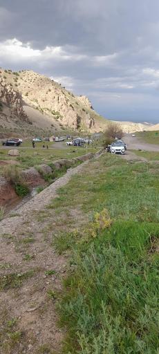 عکس پلنگ آبه