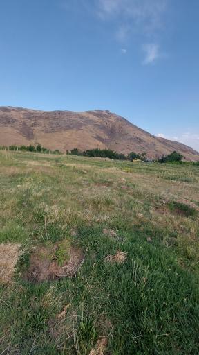 عکس شنین قاقازان
