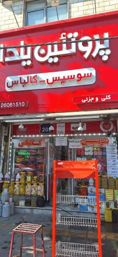 عکس پروتئین یلدا