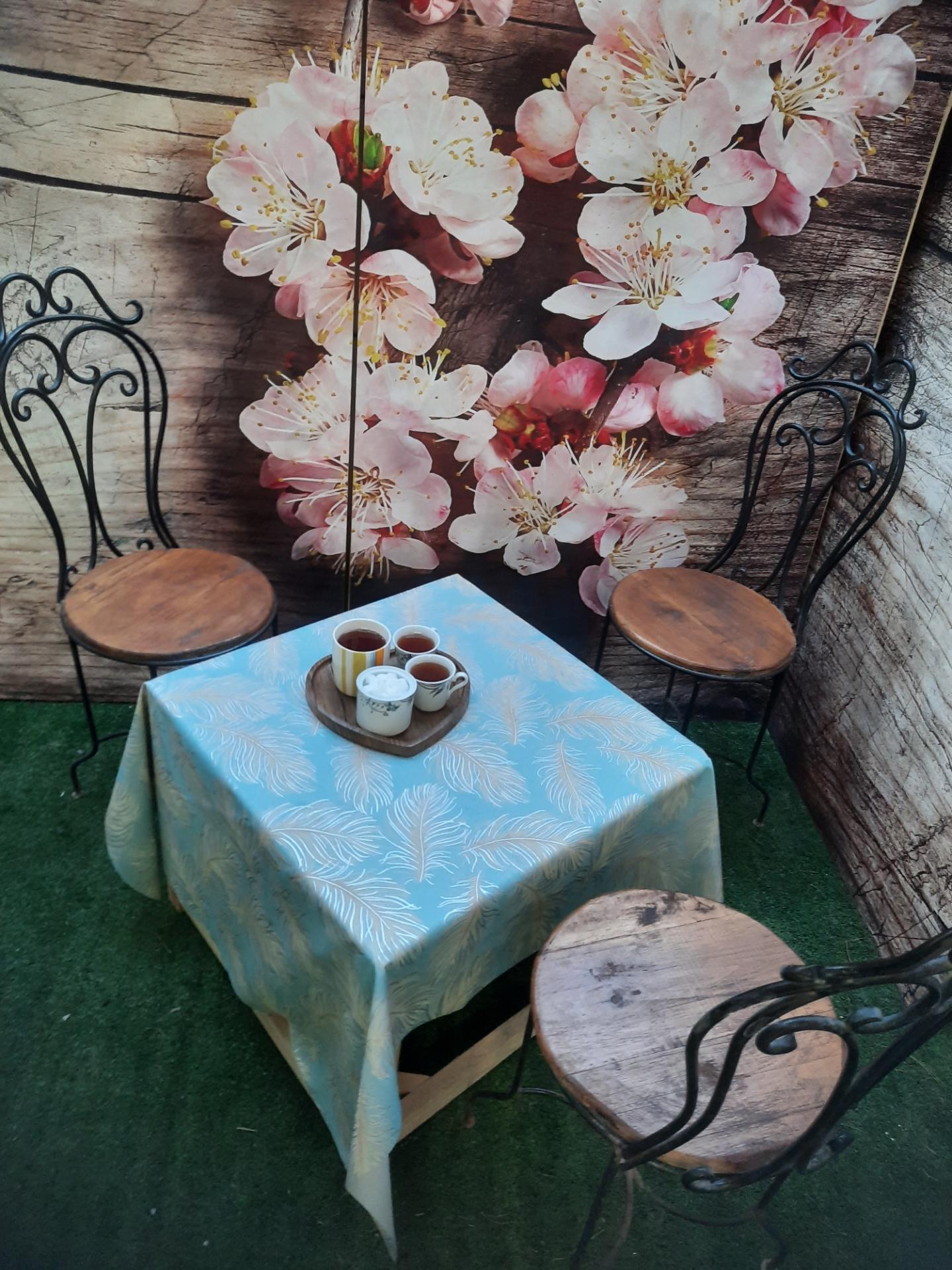 عکس سالن vip دویار