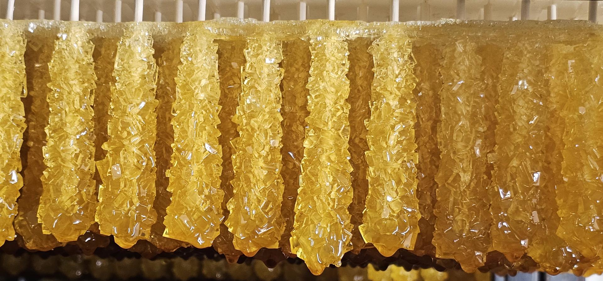 عکس نبات فروشی مهدی