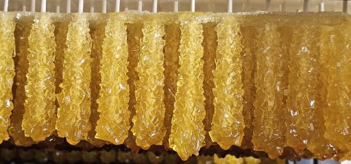 عکس نبات فروشی مهدی