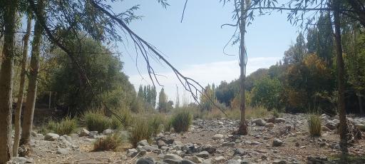 عکس رودخانه رابر