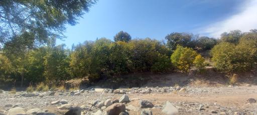 عکس رودخانه رابر