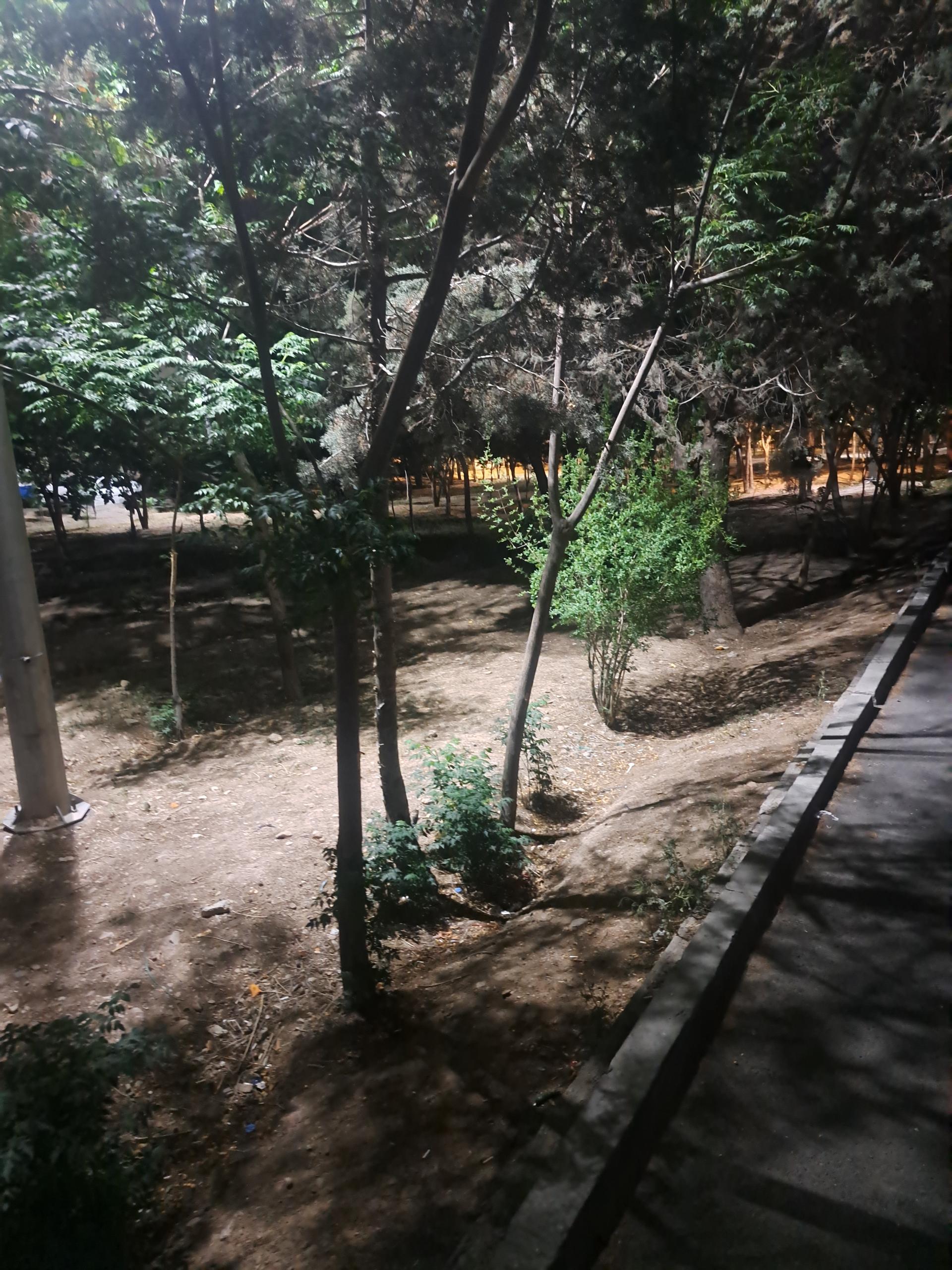 عکس فضای سبز