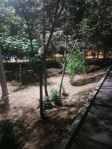 عکس فضای سبز