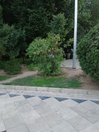 عکس بوستان المهدی