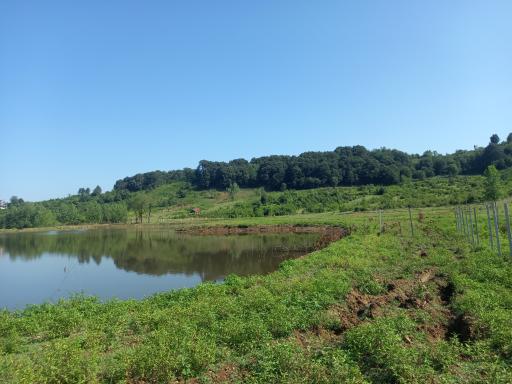 عکس منطقه توریستی گردشگری و تالابهای سوخته کوه