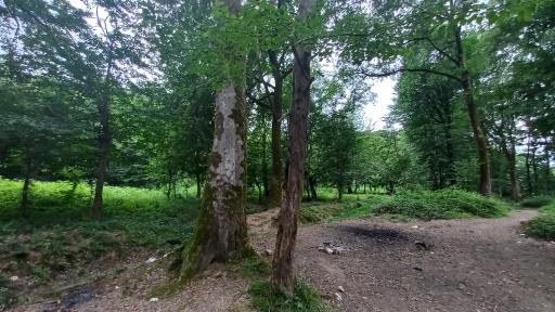 عکس منطقه توریستی گردشگری و تالابهای سوخته کوه