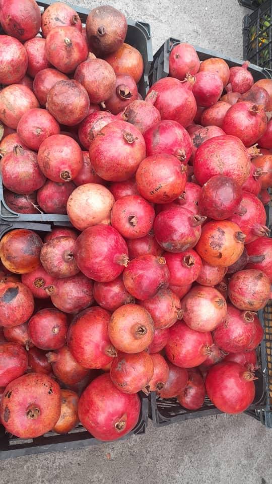 عکس کوهپایه شاندرمن