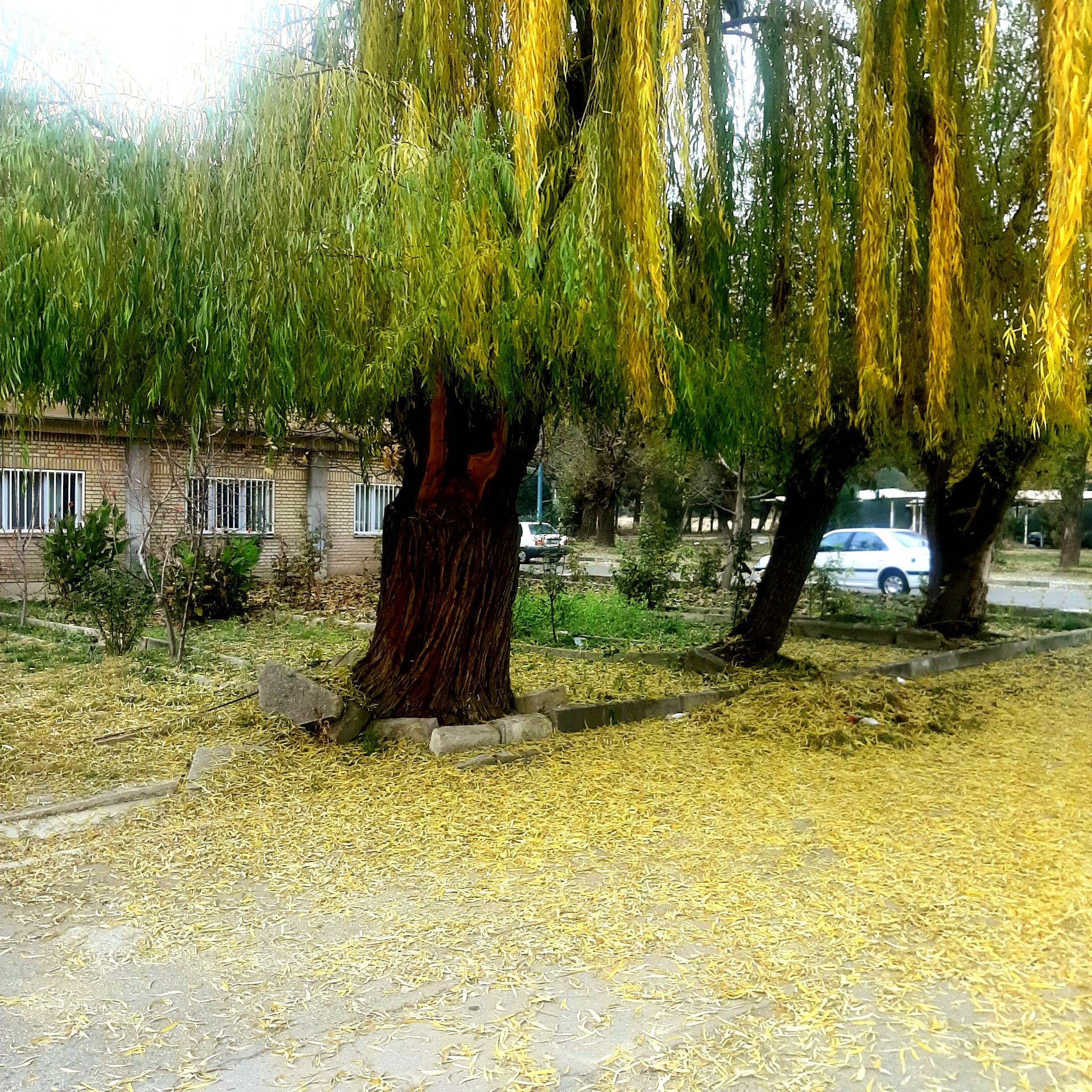 عکس معاونت آب و خاک وزارت جهاد