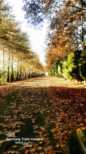 عکس معاونت آب و خاک وزارت جهاد