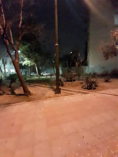 عکس پارک مرداد