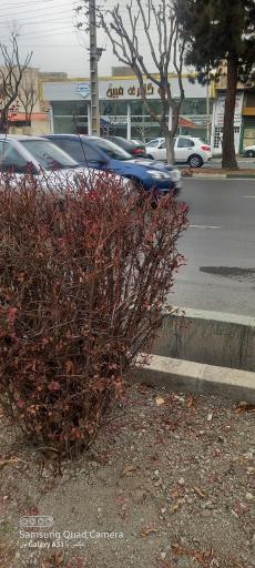 عکس اتوگالری مبین