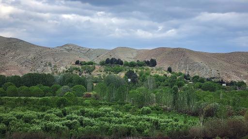 عکس پارک جنگلی جاجرود