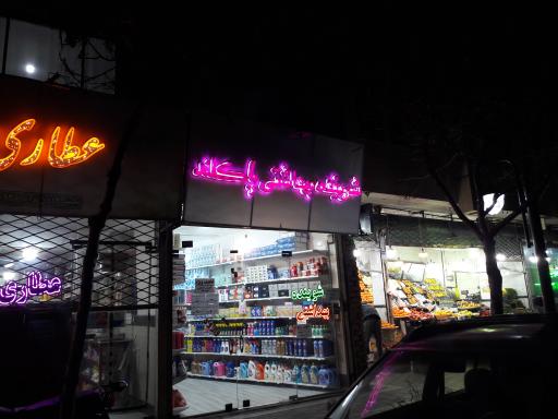 عکس شوینده بهداشتی پاکلند