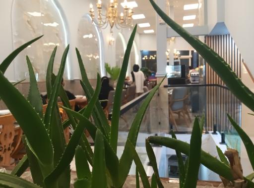 عکس کافه رستوران پارادایس