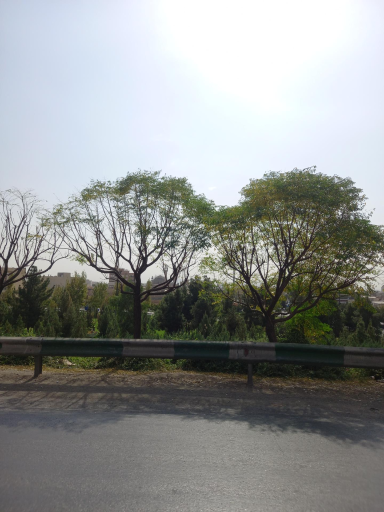 عکس بوستان تلاش