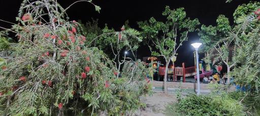 عکس بوستان تلاش