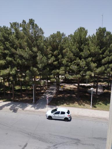 عکس پارک بسیج 