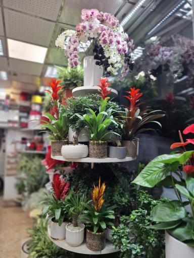 عکس گلفروشی مادر