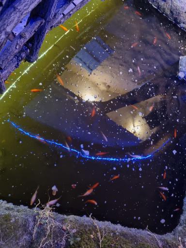 عکس مجتمع اقامتی پذیرایی یادگار پدر