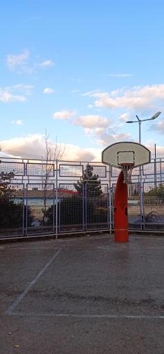 عکس زمین بسکتبال 