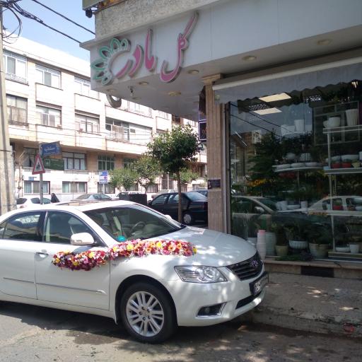 عکس گلفروشی مادر