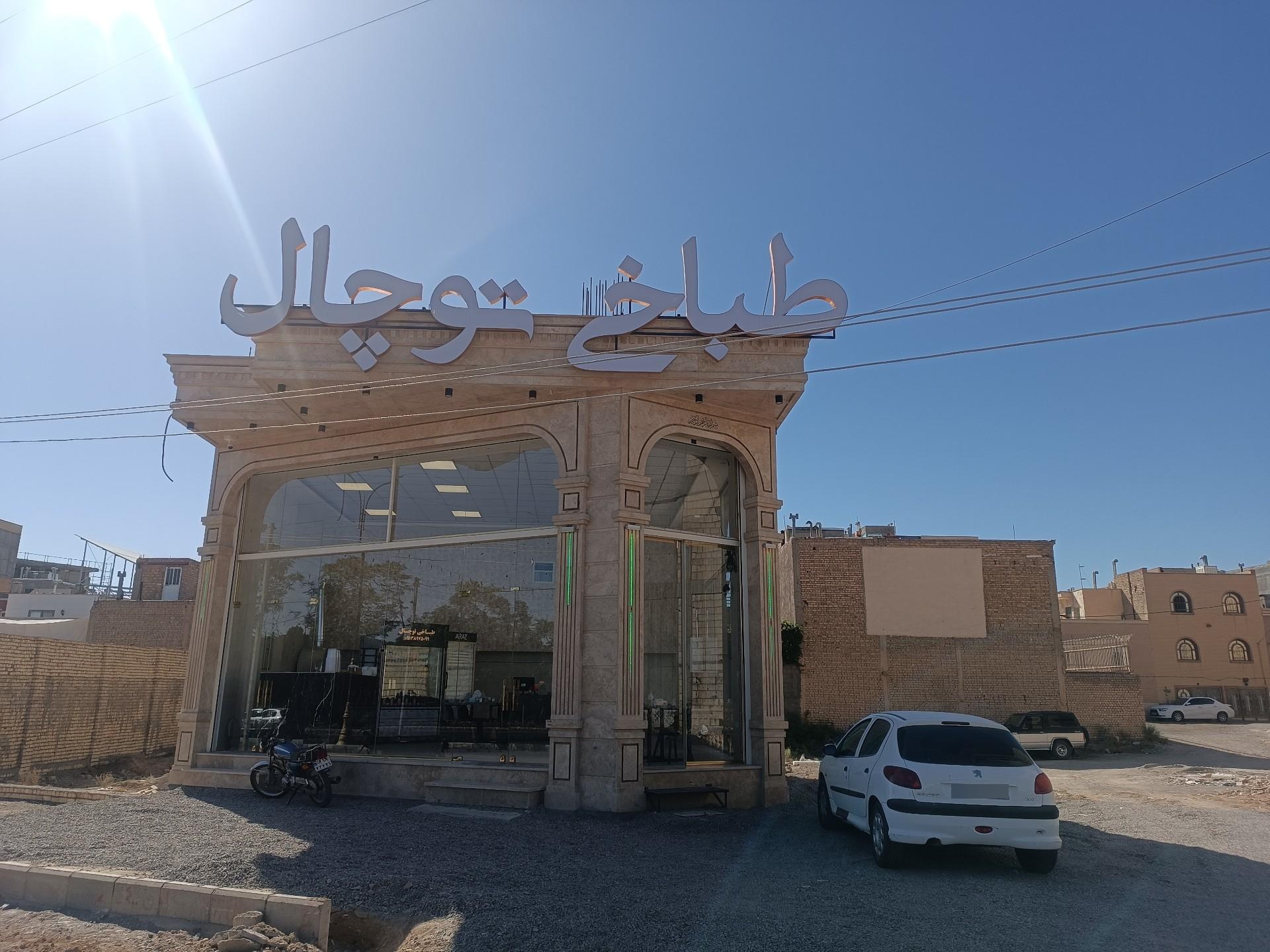 عکس طباخی بره سفید 