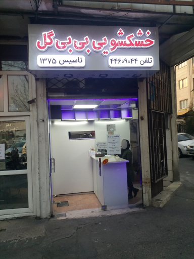 خشکشویی بی‌ بی گل