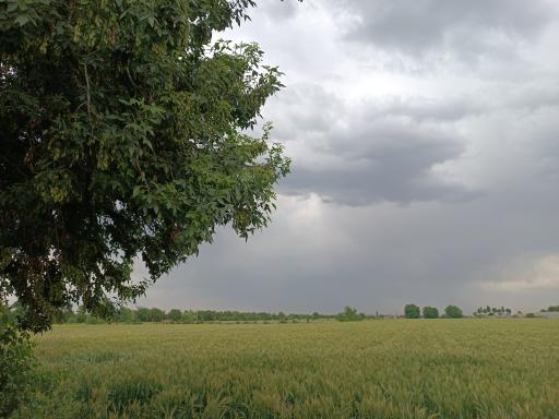 عکس چهاردانگه