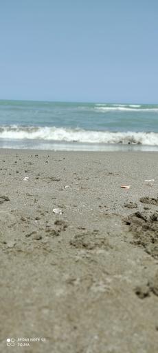 عکس ساحل چلندر