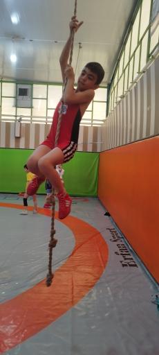 عکس مجموعه ورزشی پوریای ولی