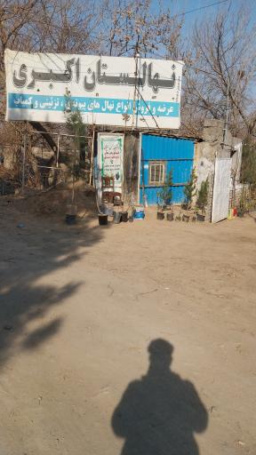 عکس نهالستان اکبری