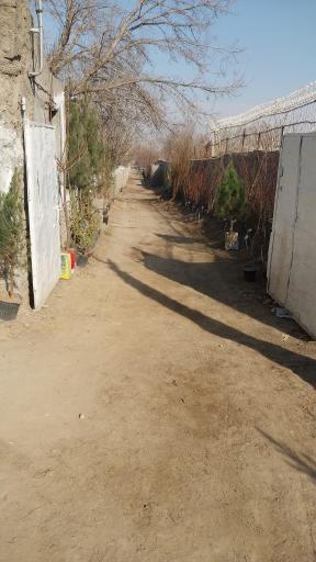 عکس نهالستان اکبری