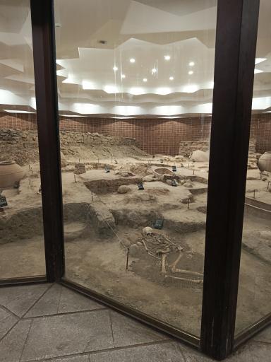 عکس سایت موزه میدان امام