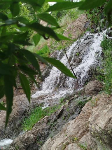 عکس طرقبه