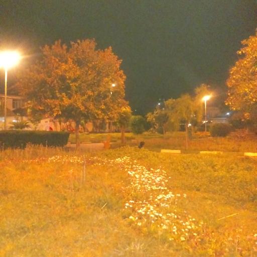 عکس پارک شهرداری