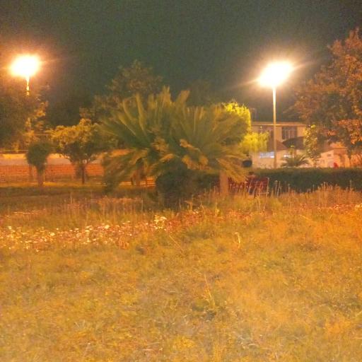 عکس پارک شهرداری