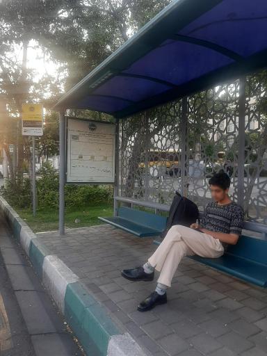 عکس کربلایی مهریزی