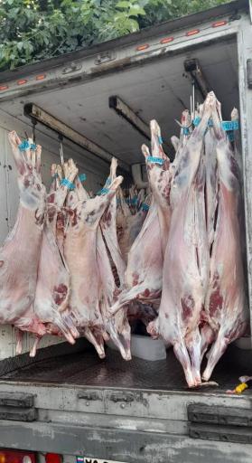 عکس رستوران اویسی (مستر جوجز)