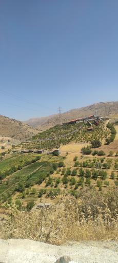 عکس پل شیشه ای نگل