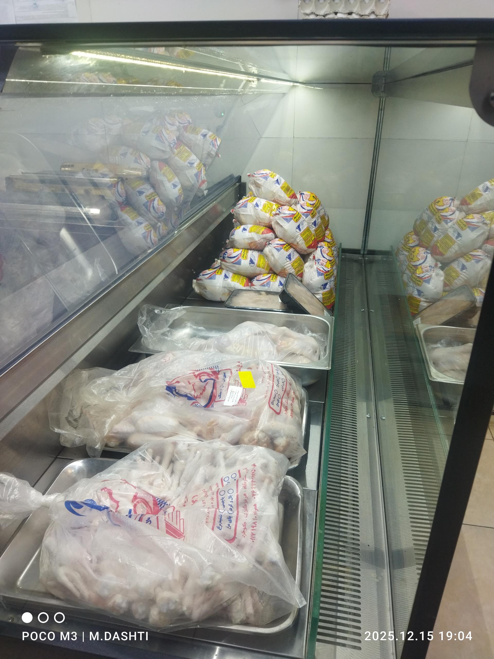 عکس مرغ همسایه 
