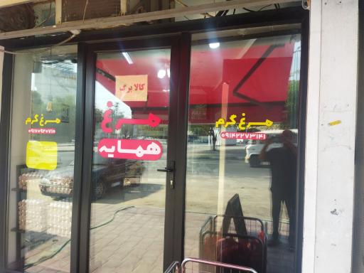 مرغ همسایه 