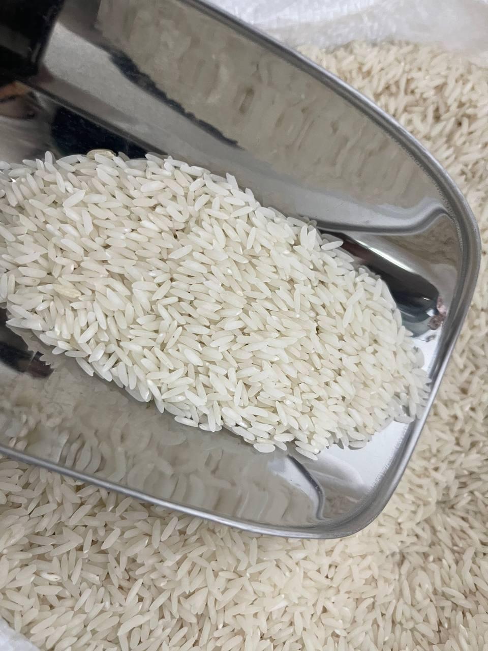 عکس برنج فروشی شالیزار