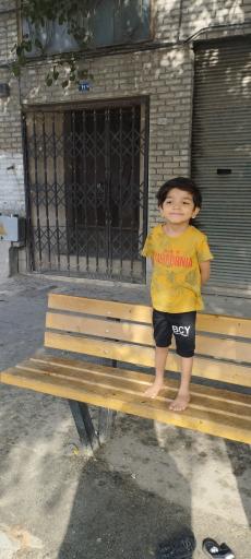 عکس  آیت الله عبادی 31