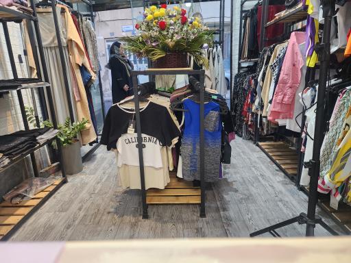 عکس پوشاک بانوان ولیعصر