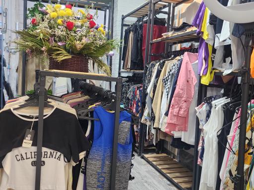 عکس پوشاک بانوان ولیعصر