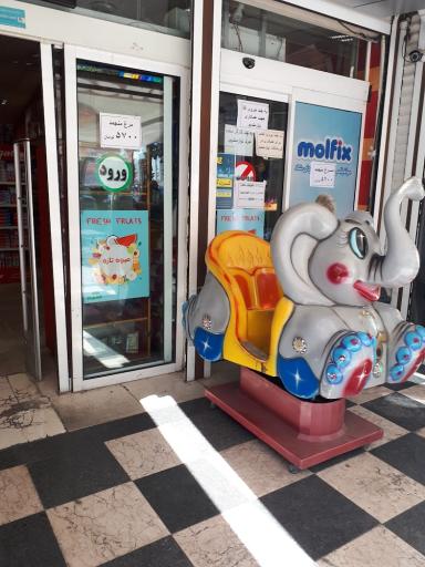 عکس فروشگاه دلفین