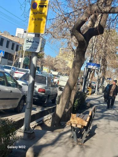 عکس  آیت الله عبادی 31